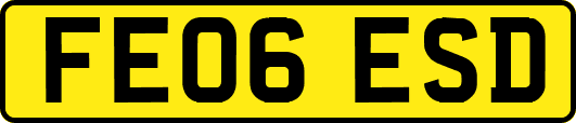FE06ESD