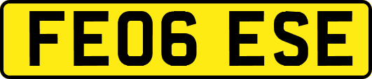 FE06ESE