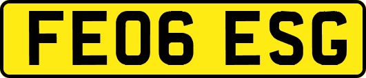 FE06ESG
