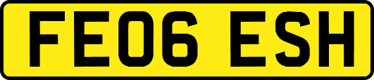 FE06ESH