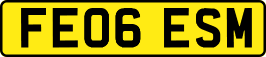 FE06ESM