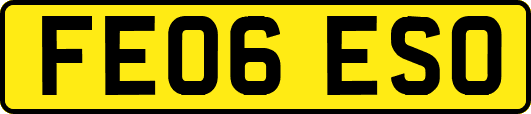 FE06ESO