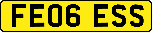 FE06ESS