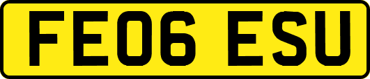 FE06ESU