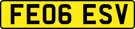 FE06ESV