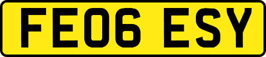 FE06ESY