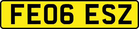 FE06ESZ