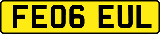 FE06EUL