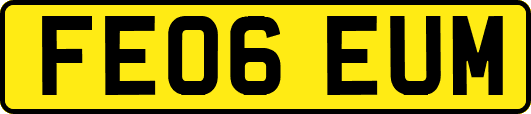 FE06EUM
