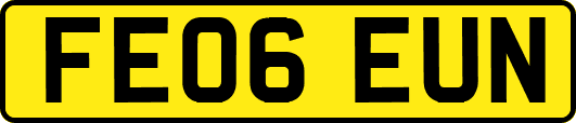 FE06EUN