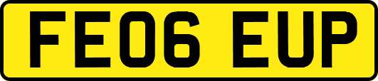 FE06EUP