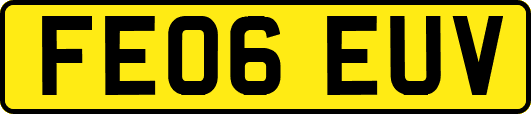 FE06EUV