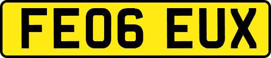 FE06EUX