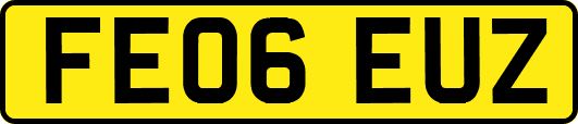 FE06EUZ