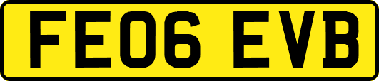 FE06EVB