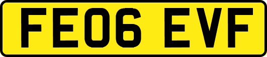 FE06EVF