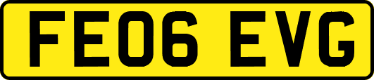 FE06EVG