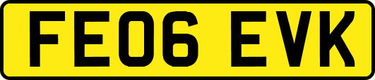 FE06EVK