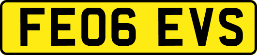 FE06EVS