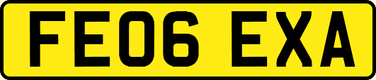 FE06EXA