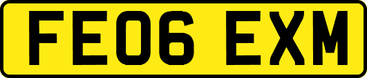 FE06EXM