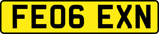 FE06EXN