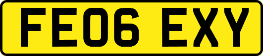 FE06EXY