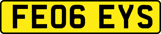 FE06EYS