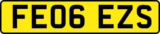 FE06EZS