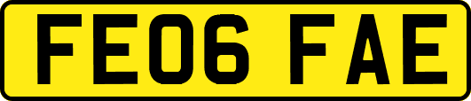 FE06FAE
