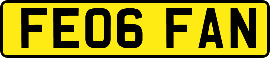 FE06FAN