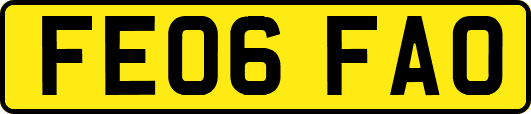 FE06FAO