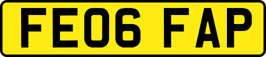 FE06FAP