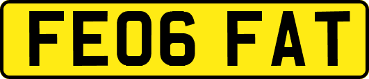 FE06FAT