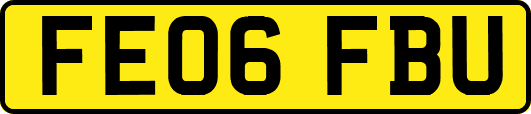 FE06FBU