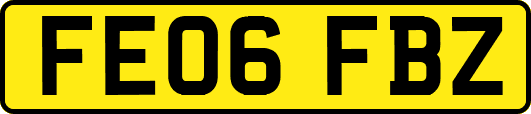 FE06FBZ
