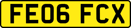 FE06FCX