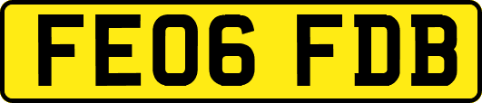 FE06FDB