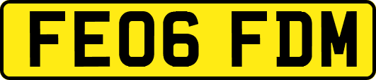 FE06FDM