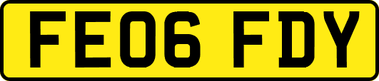FE06FDY