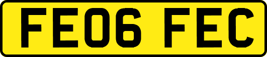 FE06FEC