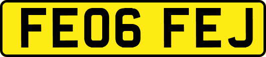 FE06FEJ