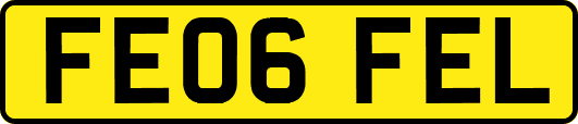 FE06FEL