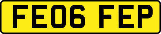 FE06FEP