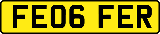 FE06FER