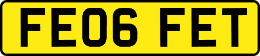 FE06FET