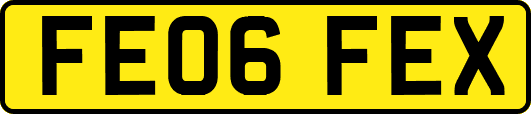 FE06FEX