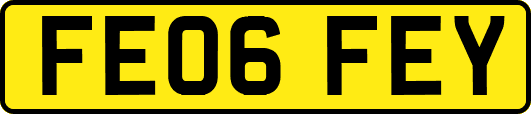 FE06FEY