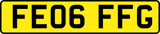 FE06FFG