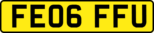 FE06FFU